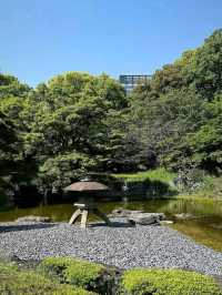 Hidden Gem in the Heart of Tokyo