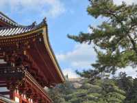 วัด TODAIJI