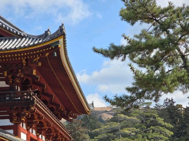 วัด TODAIJI