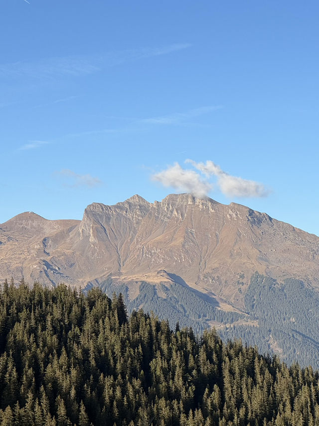 죽기 전에 꼭 가봐야할 곳, 그린델발트 스위스🧀🇨🇭🏔️🏞️🚞