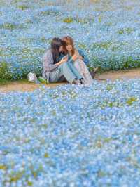 Uminonakamichi สวนดอกไม้ริมทะเลแห่งฟุกุโอกะ