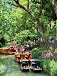 Real Footage of Suzhou Tiger Hill Flower Viewing Route (No Mountain Climbing, Less Crowded)