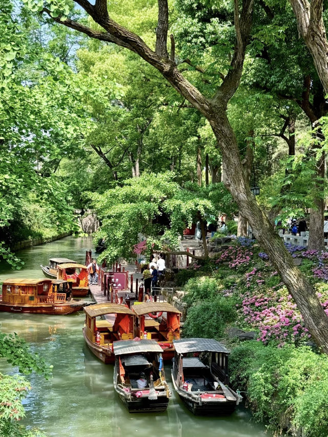 Real Footage of Suzhou Tiger Hill Flower Viewing Route (No Mountain Climbing, Less Crowded)