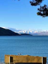 🏞️ Lake Tekapo Highlights (Especially in Spring)