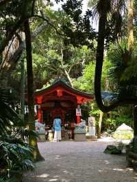 Aoshima in Spring
