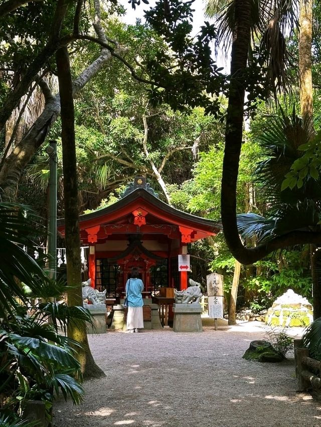 Aoshima in Spring