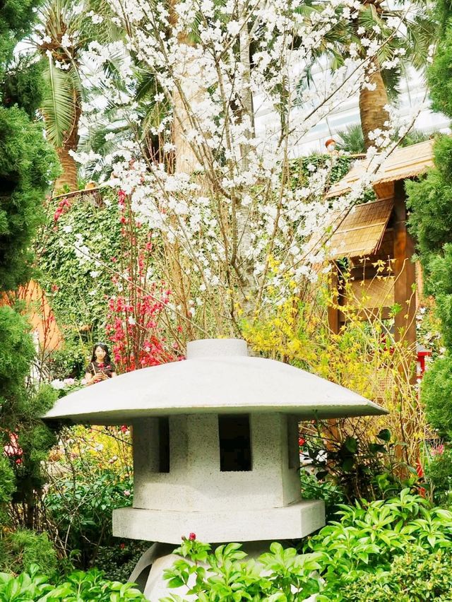 Blossom Seasons 
