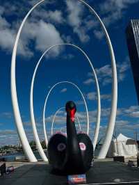 Perfect Day Itinerary at Elizabeth Quay