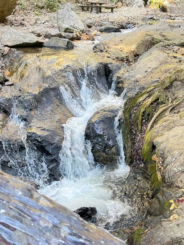 น้ำตกแม่เกิ๋งหลวง