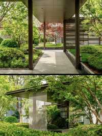 🌷 Fangshan, Beijing — A Hidden Gem Park by the Metro That’s Next Level Beautiful! 🌷