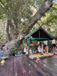Blessings at Wat Kham Chanod