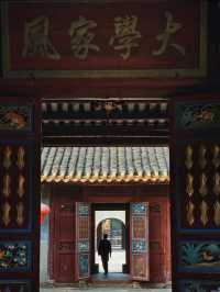 深圳🇨🇳 一日玩轉坪山靚景 😎