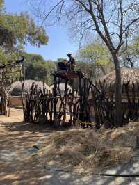 Cultural explosion - Safari 