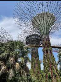新加坡雲霧林｜高空瀑布＋冷氣森林夢幻又涼爽