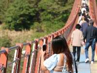 Ulsan Uncovered: Where Steel Meets Serenity