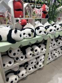🐼 3วัน2คืน เที่ยวตูเจียงเยี่ยน เมืองโบราณในจีน