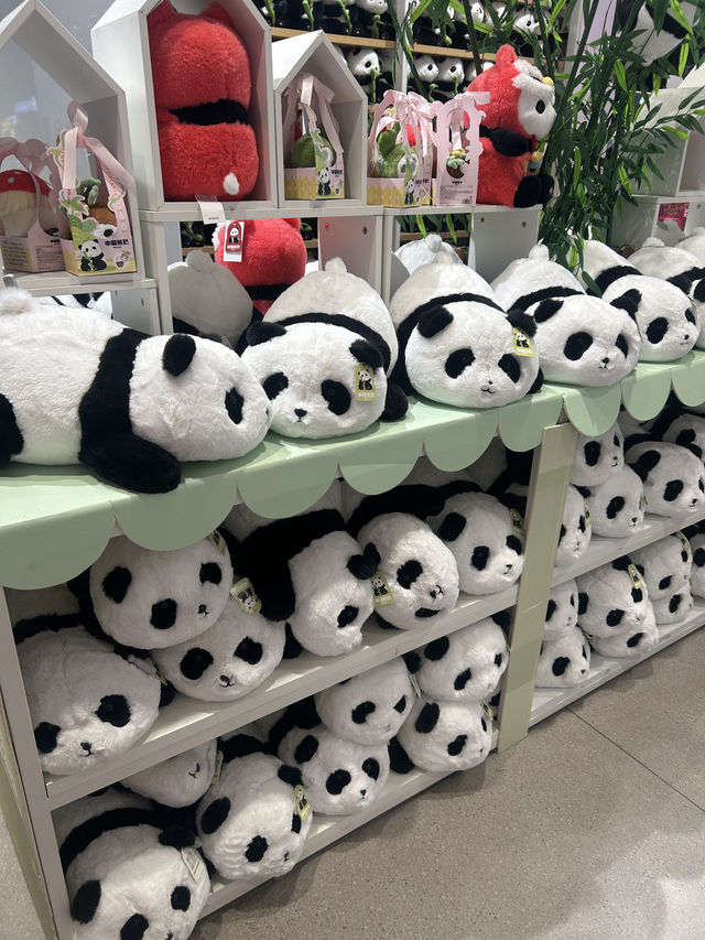 🐼 3วัน2คืน เที่ยวตูเจียงเยี่ยน เมืองโบราณในจีน