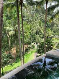 🌾 Luxury in the Lush Heart of Ubud – Four Seasons Resort Bali at Sayan