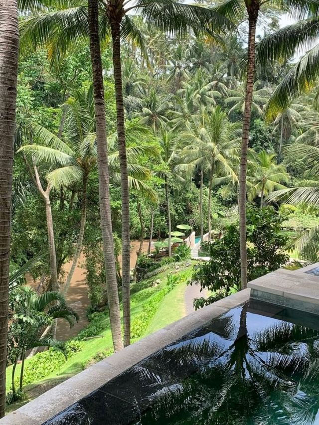 🌾 Luxury in the Lush Heart of Ubud – Four Seasons Resort Bali at Sayan