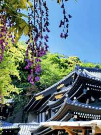 日本古都鎌倉