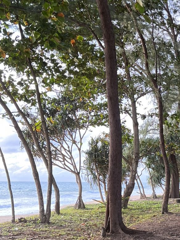 [พังงา] 🏝️ Thai Mueang Beach —หาดท้ายเหมือง