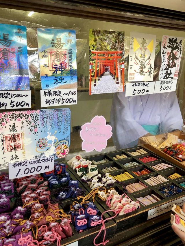 A Laid-Back Day in Hakodate – Bayside Strolls & Starry Views