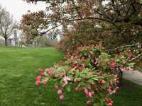 Grant Park – Chicago, Illinois