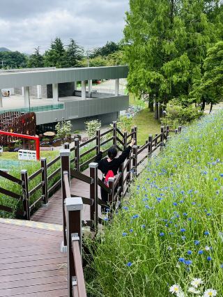 A Great Free Theme Park in South Korea for a Pleasant Walk