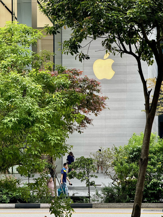 🍎 Tree or Tech? Where Are These Apple Stores?