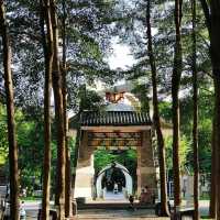 ～長沙公園～端午綠蔭行～