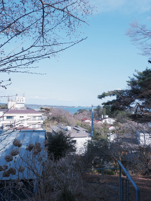 日本三景之一：松島  