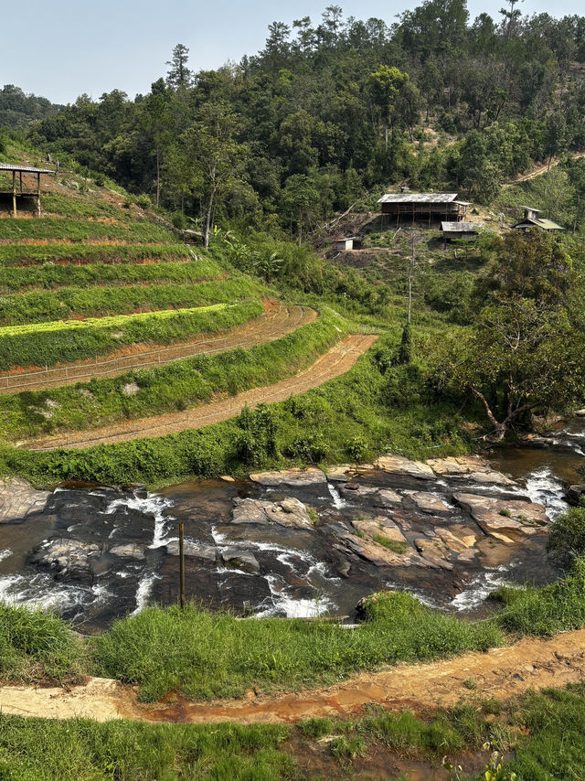 Best Elephant Sanctuary in Thailand