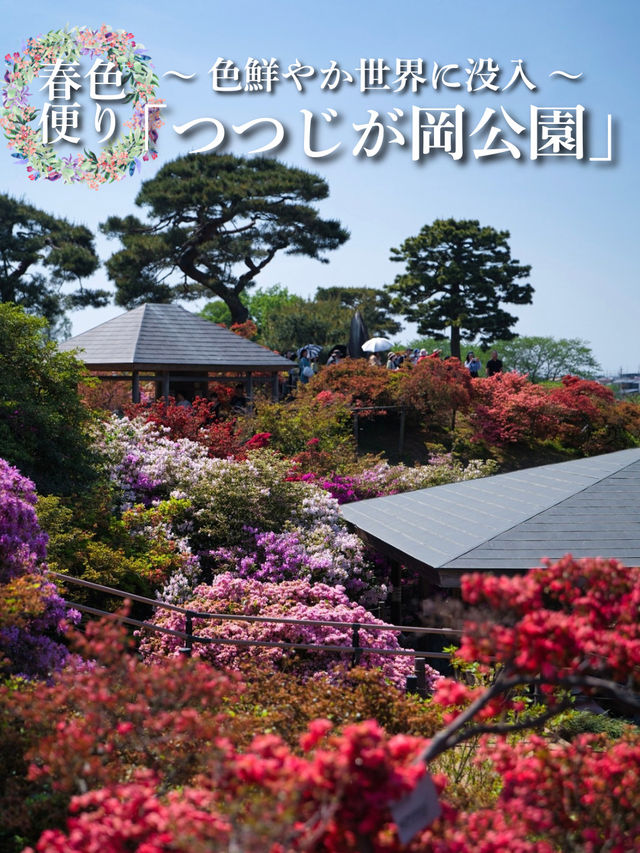 【行く前にこれ見て】色彩の洪水に心奪われる🌸💖🔥※観光攻略情報付き