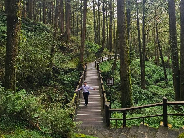 行！走入超完美芬多精仙境～阿里山森林公園