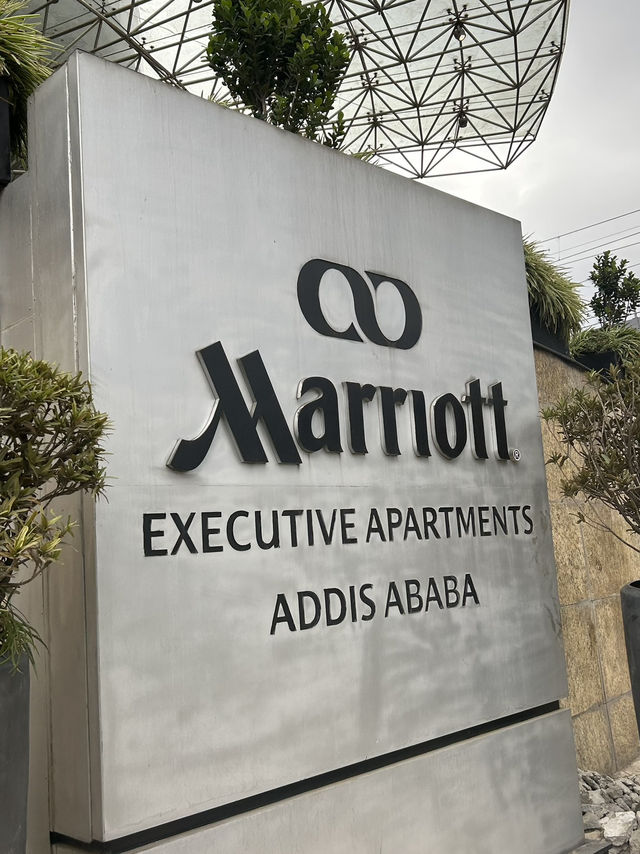 🏨Comfy Hotel in Addis Ababa