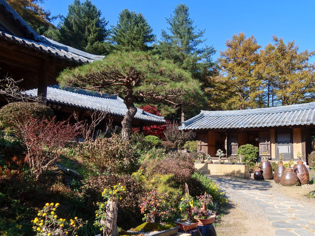 경기도 가평 나들이