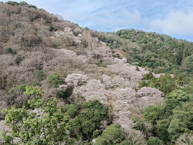 嵐山竹林の小径