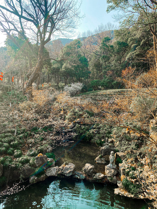 Lingyin Temple 