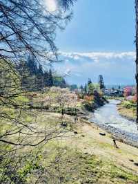The Oide Park