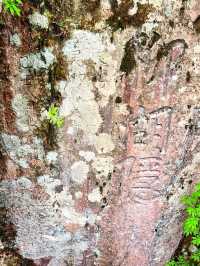 A Journey to the Heart of Nature: Exploring Jirisan National Park