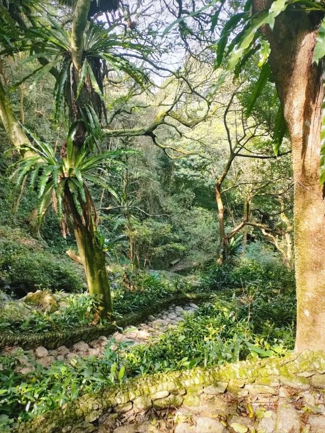 Kadoorie Farm