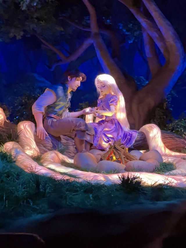 【東京ディズニーシー】ラプンツェルの世界を体験できるアトラクション