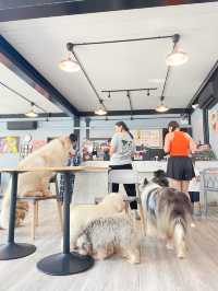 คาเฟ่น้องหมา พัทยา ฟินมากกก! 🐶