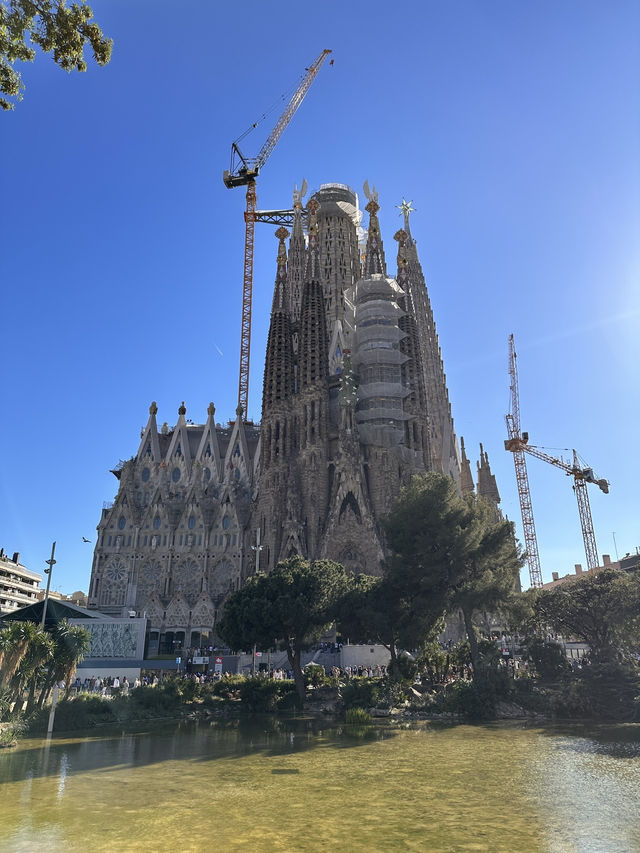 【Basílica de la Sagrada Família｜サグラダ・ファミリア 🇪🇸】 