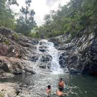 Discover a Hidden Gem: Tamborine National Park Near Brisbane