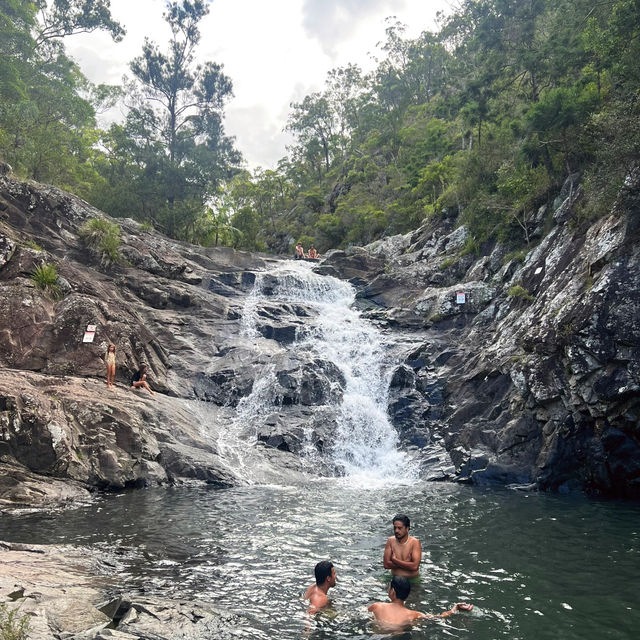 Discover a Hidden Gem: Tamborine National Park Near Brisbane