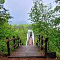 History, Views, and Forest Feels All in One