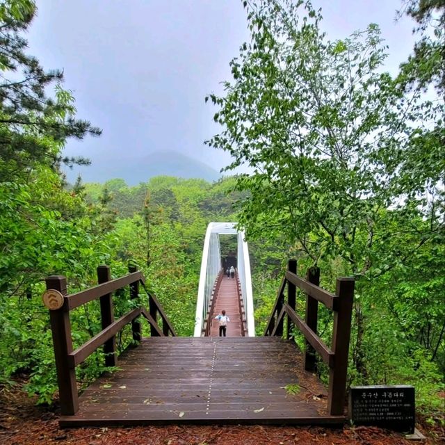 History, Views, and Forest Feels All in One