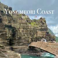 🌊 Yangmeori Coast | Hidden Coastal Treasure & Fresh Seafood Delight 🐚✨