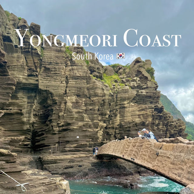 🌊 Yangmeori Coast | Hidden Coastal Treasure & Fresh Seafood Delight 🐚✨